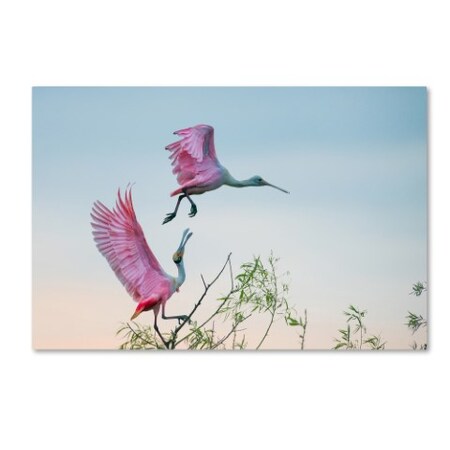 Trademark Fine Art C Mei 'Rosy Pair' Canvas Art, 22x32 1X03867-C2232GG